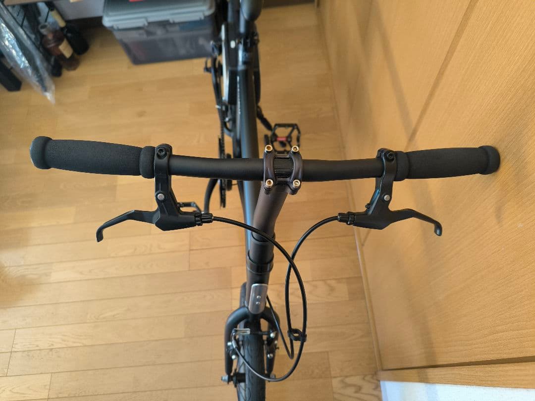 TSINOVA 電動アシスト自転車 20インチ ブラック