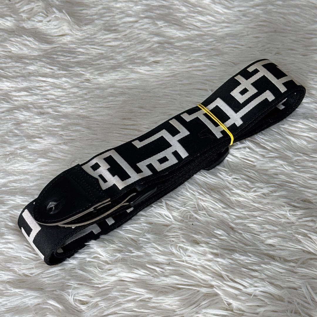 FERNANDES TE-95HT 布袋寅泰モデル G柄ストラップ付き！