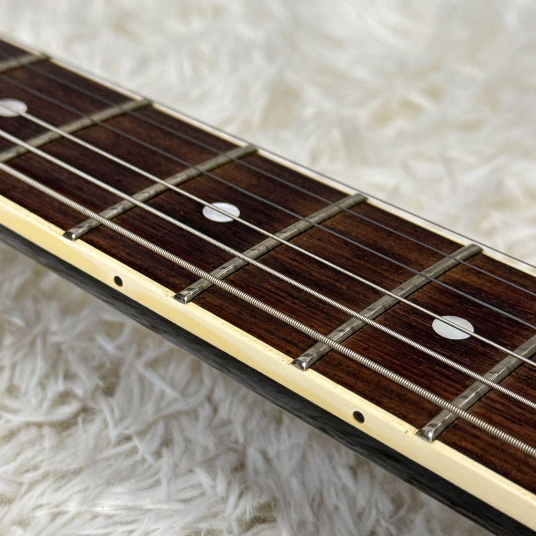 FERNANDES TE-95HT 布袋寅泰モデル G柄ストラップ付き！