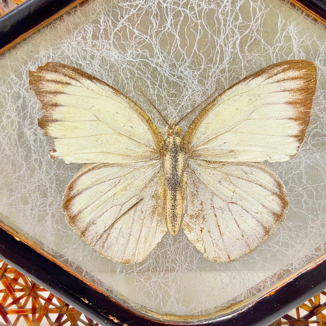 希少古物 駿河竹千筋細工 タイプ２