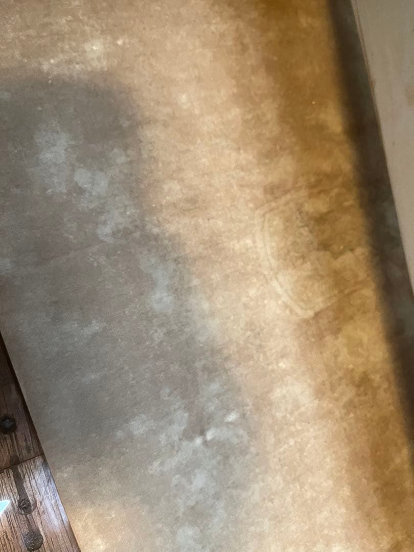 希少 中国 版画 絵画 骨董 アート 虢国夫人遊春図