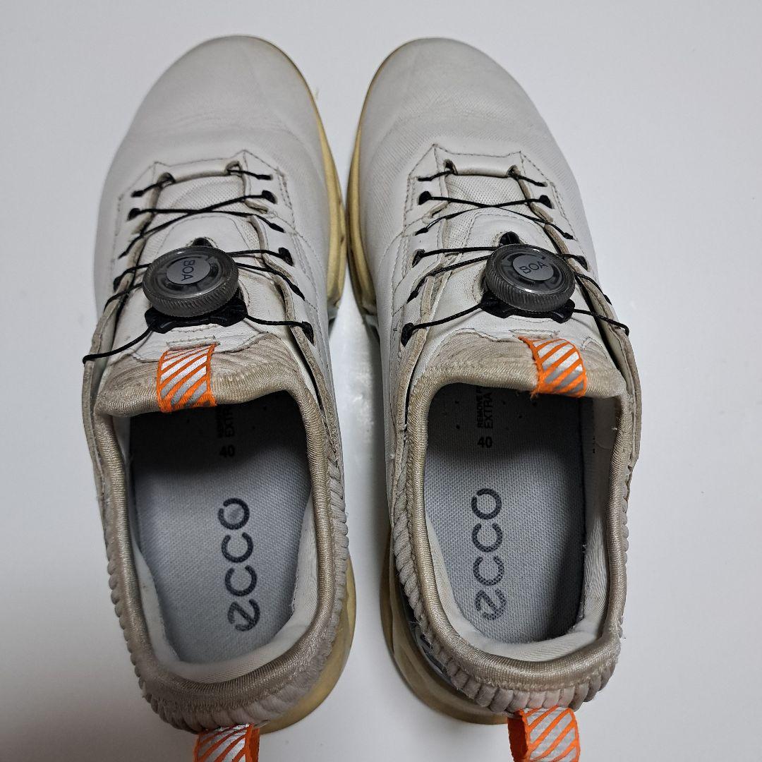 ecco ゴルフシューズ ダイヤル式 25.5cm