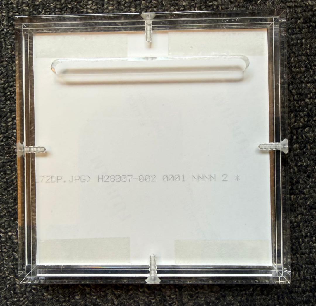 [証明書なし] 奈良美智 写真作品 Days 2014-2018:Sixteen