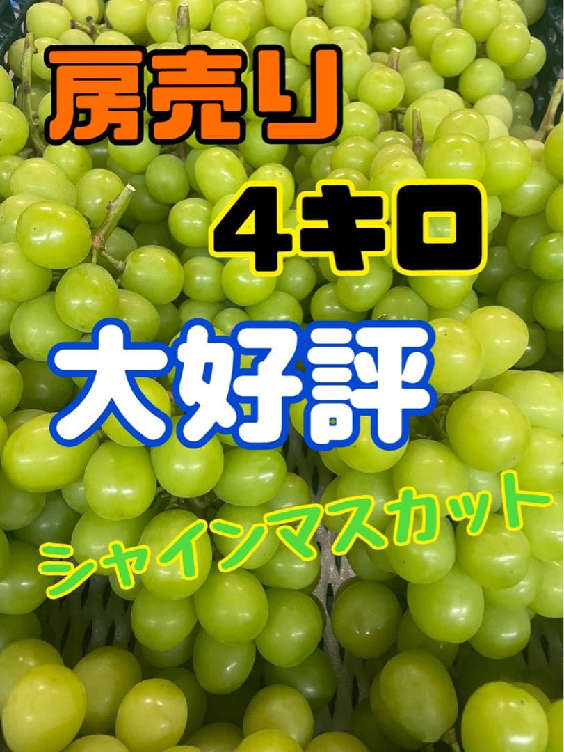 【シャインマスカット】房売り　山梨県産　4キロ　農家直送