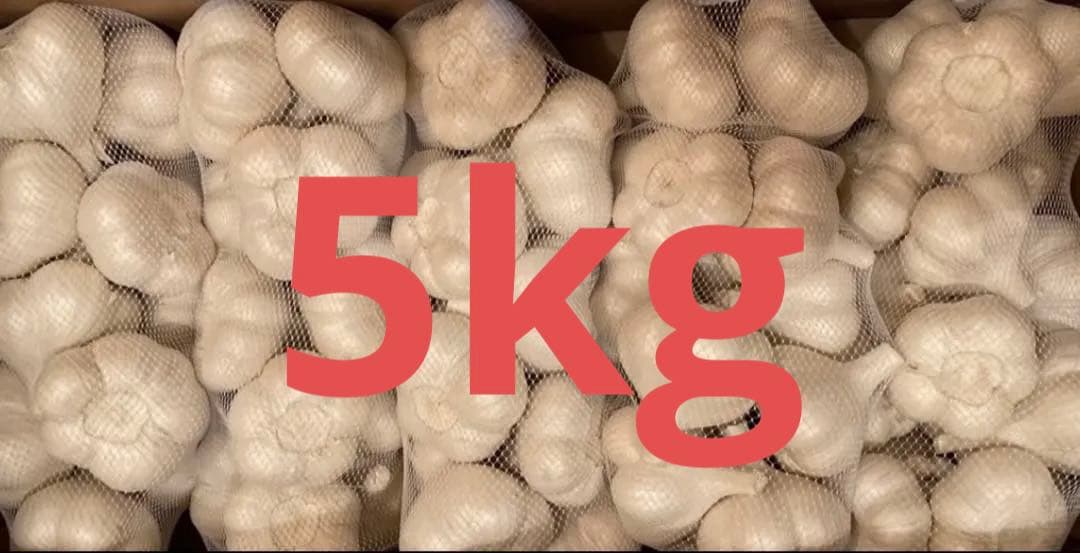青森県産にんにくLサイズ5kg25年産新物