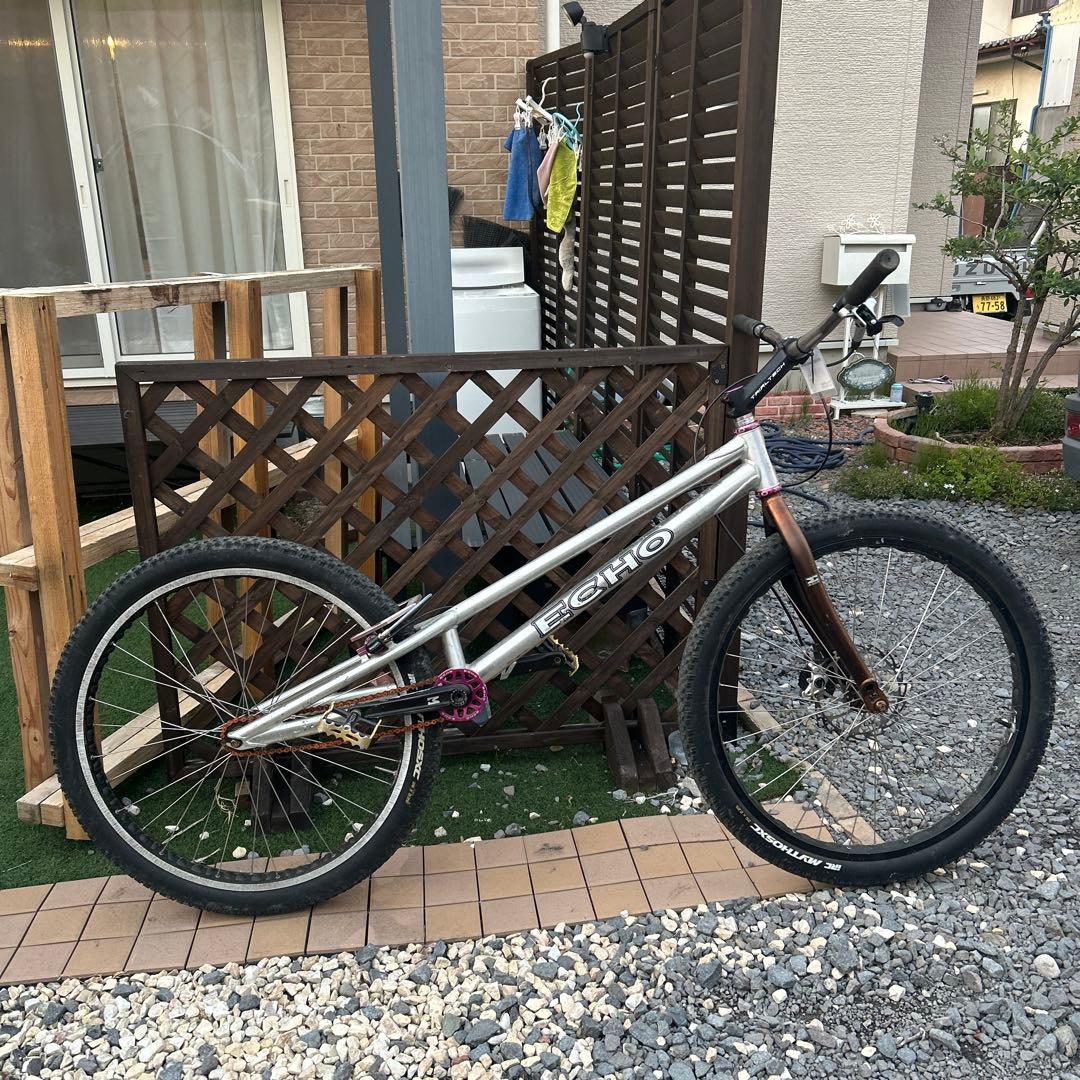 ECHO トライアル