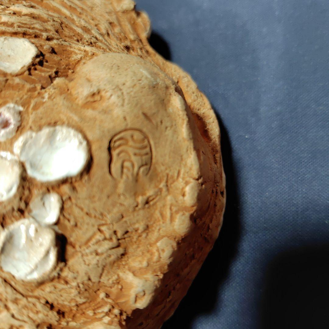 水月焼き・アワビ型蟹皿