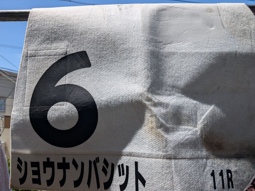 【第90回日本ダービー実使用ゼッケン】　ショウナンバシット号