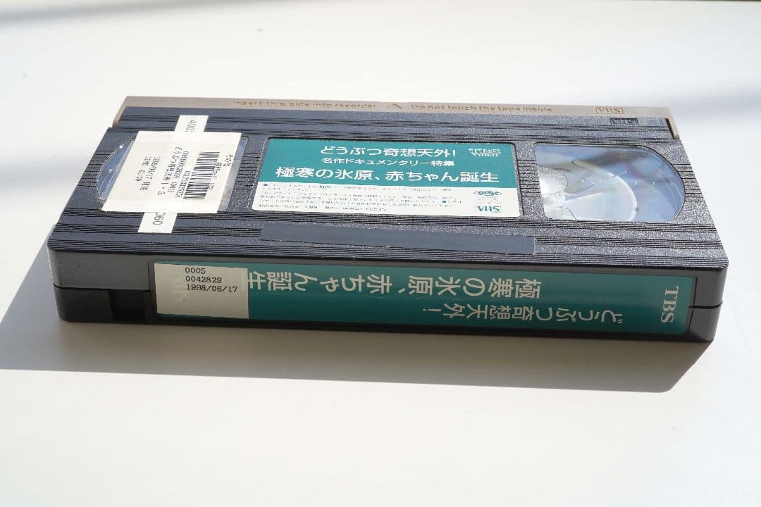 極寒の氷原、赤ちゃん誕生　動物奇想天外　タテゴトアザラシ＆コウテイペンギン