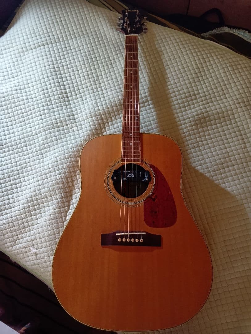 Fender DG-16NATアコースティックギターハードケース、ピックアップ付