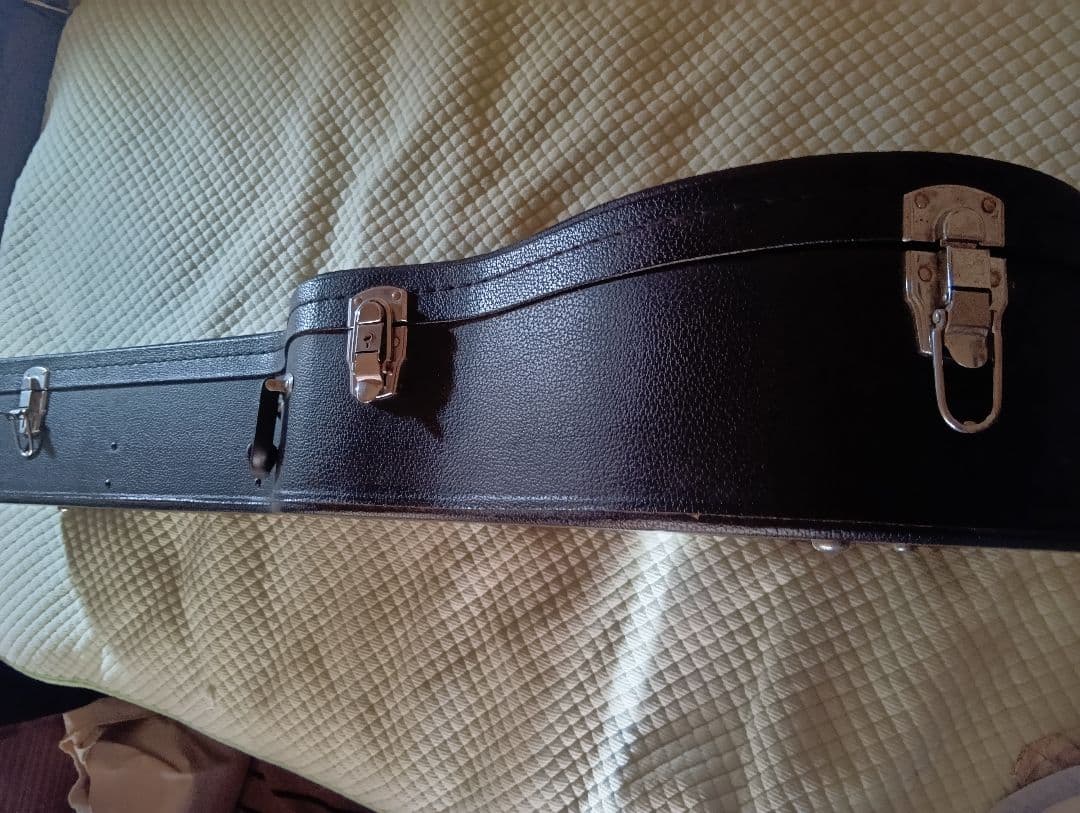 Fender DG-16NATアコースティックギターハードケース、ピックアップ付