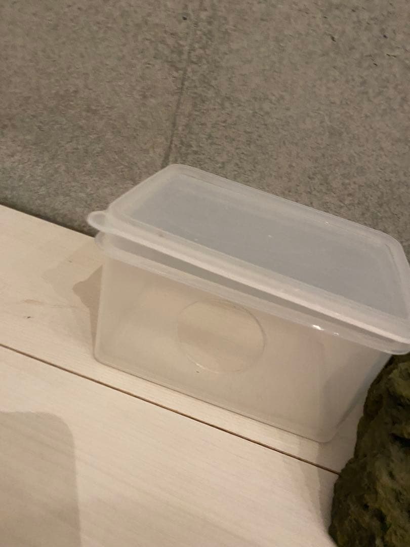 SANKO Pantheon White レオパードゲッコウ　暖突付き水槽