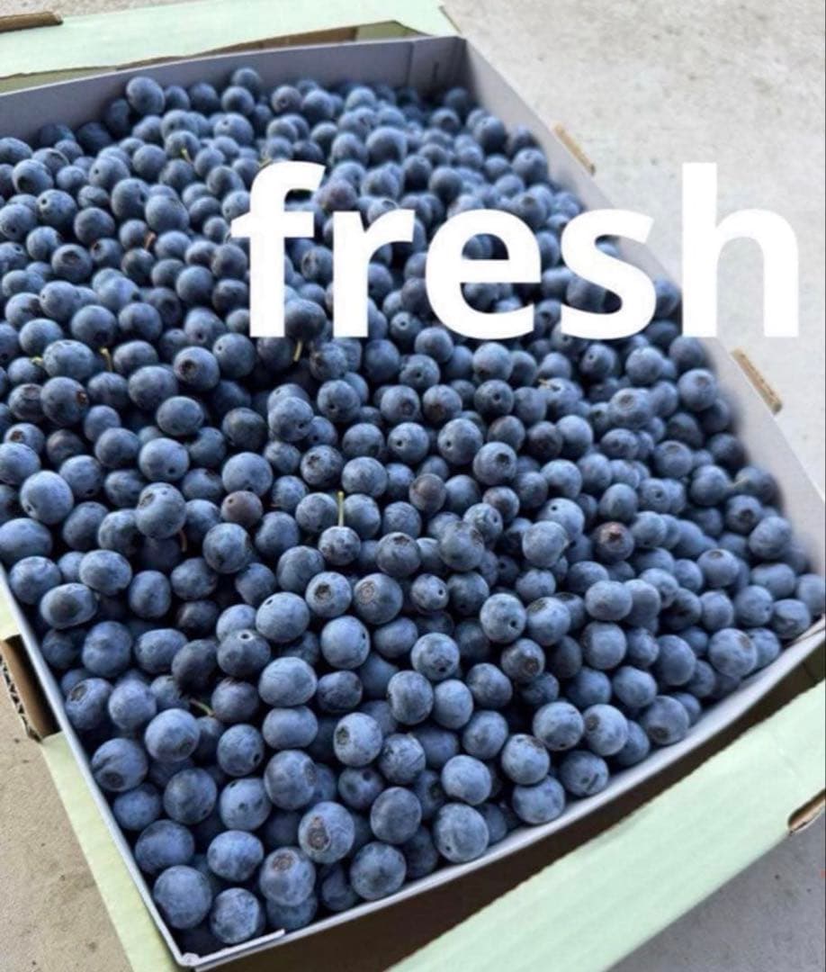 自然農法 冷凍ブルーベリー 3000g