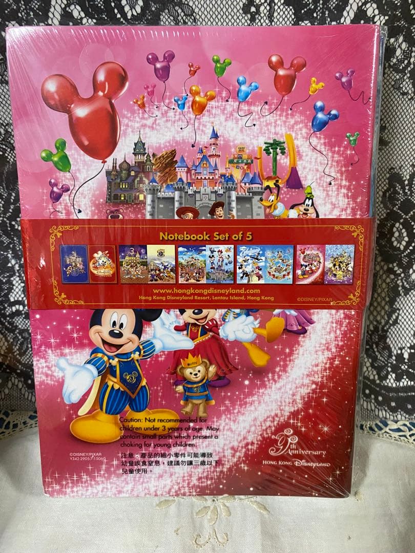 香港ディズニー　10周年　ノートセット　5冊