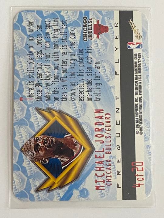 その他 JORDAN NBA Hoops Airlines Frequent Flyer