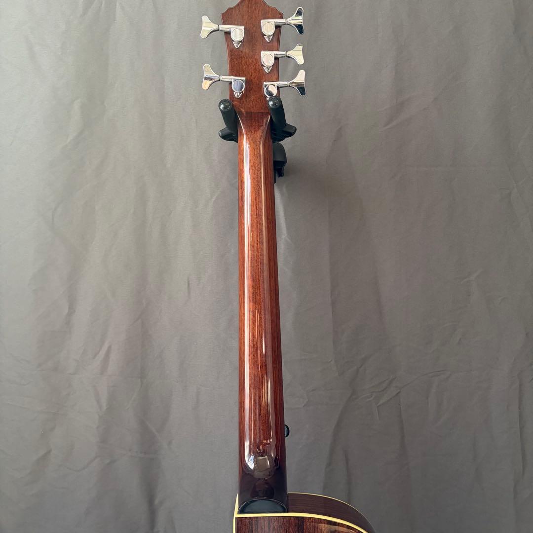 Ibanez AEB455 エレアコ 希少 美品 5弦 アコースティックベース