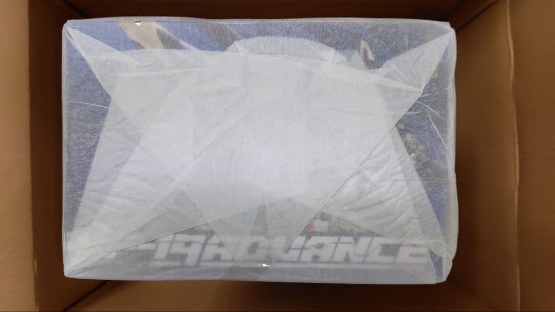 ⭕️薄紙付 DX超合金 VF-19 アドバンス イサムスペシャル バンダイ