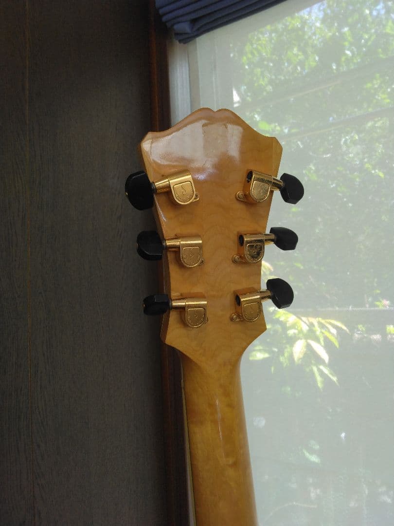 Eastman(イーストマン)　ジャズギター　フルアコ