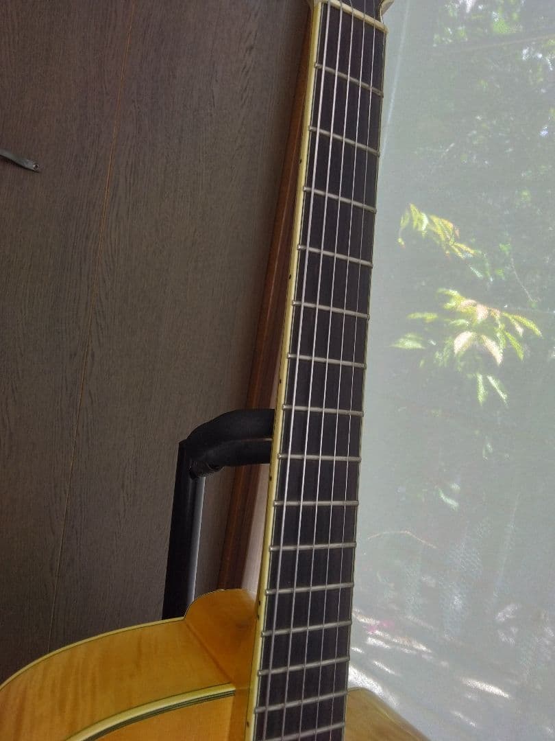 Eastman(イーストマン)　ジャズギター　フルアコ