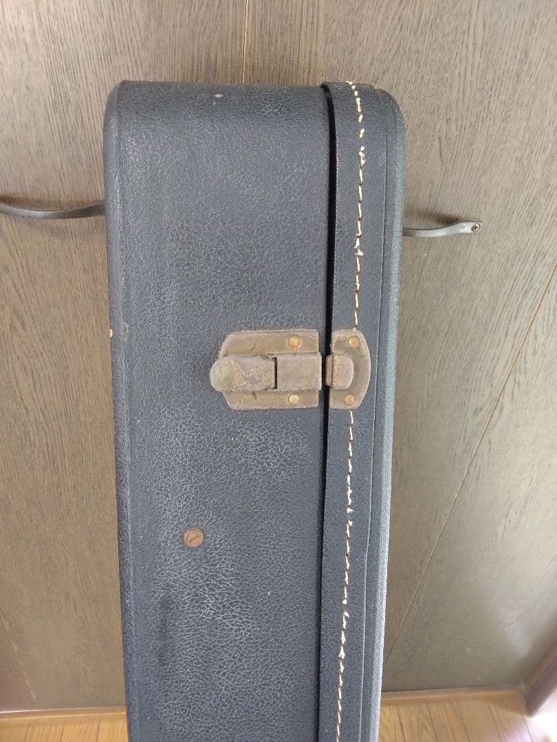 Eastman(イーストマン)　ジャズギター　フルアコ