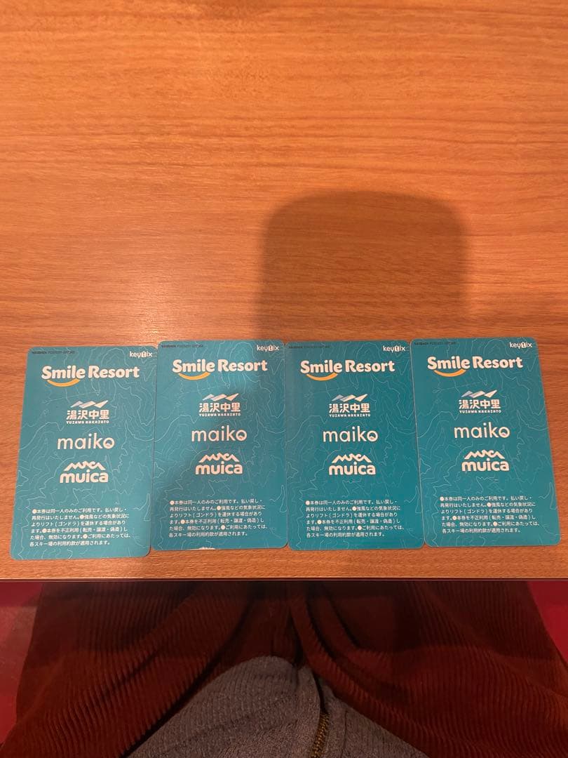 舞子スノーリゾート大人一日券　24-25４枚