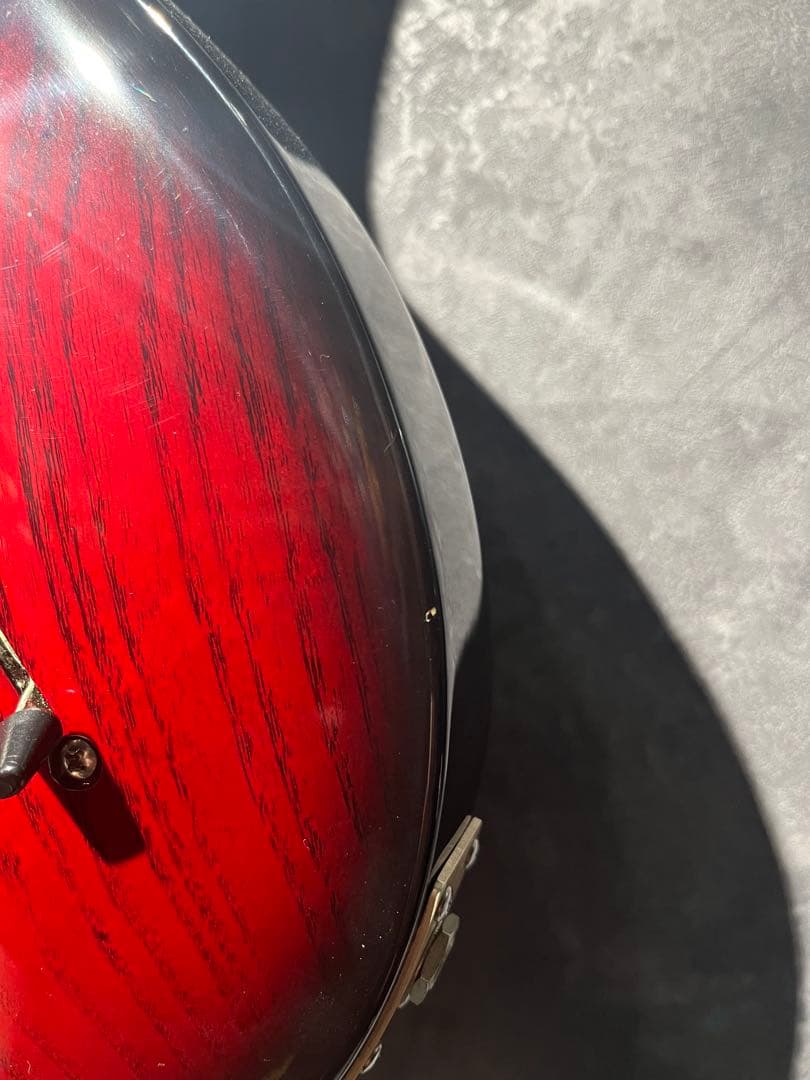 ギター PRS 25th Anniversary Swamp Ash Special