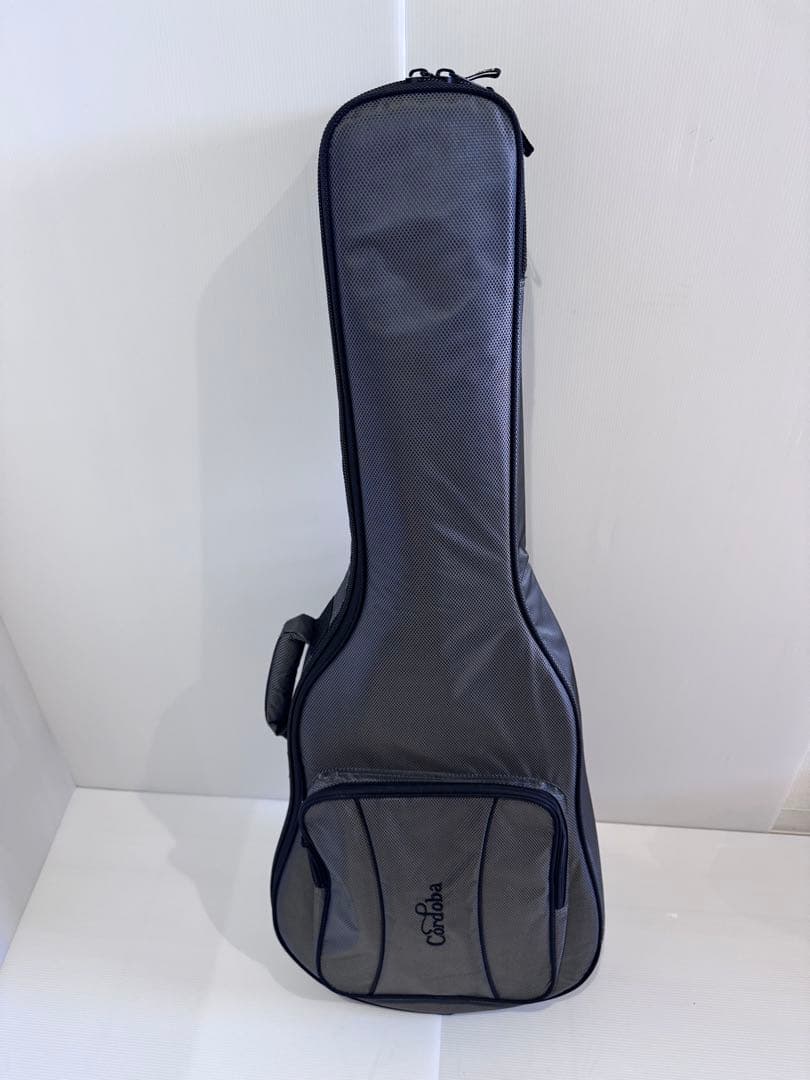 Ibanez ケース付き エレアコ、エレクトリックアコースティックギター