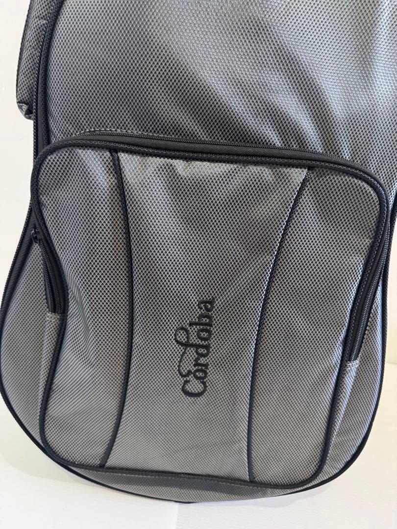 Ibanez ケース付き エレアコ、エレクトリックアコースティックギター