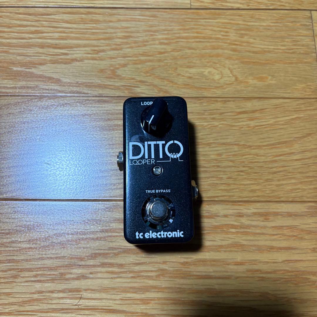 ギター tc electronic DITTO LOOPER