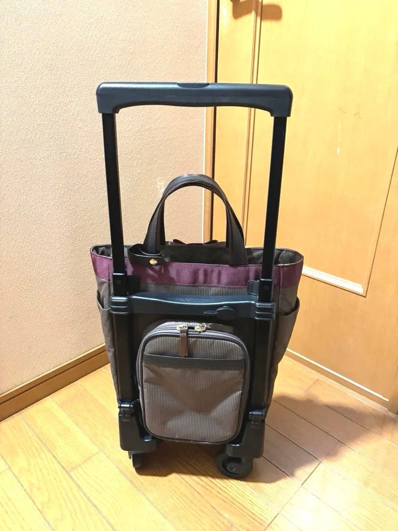 SWANY D640 Mサイズ　ルバンド　キャリーバック　グレージュ色