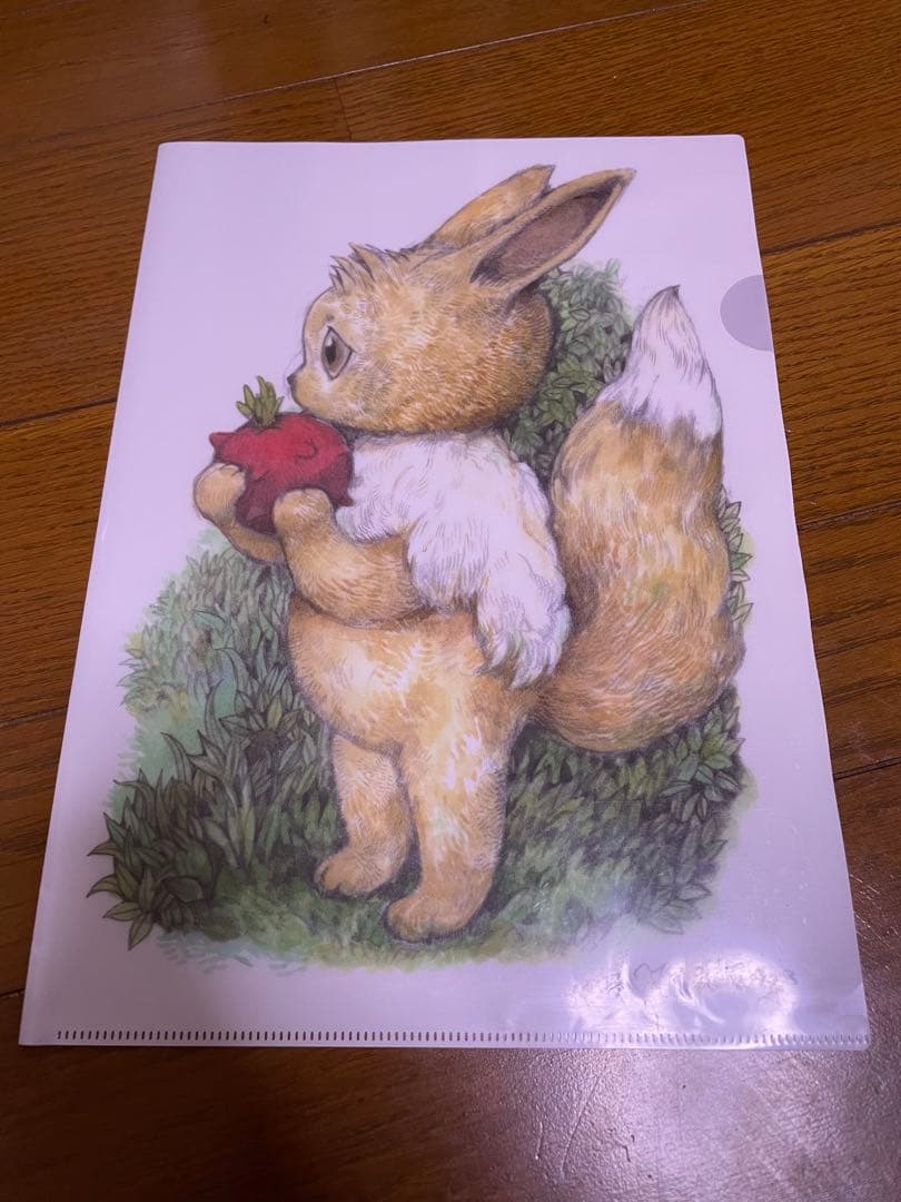 ヒグチユウコ　イーブイ　クリアファイル　5枚セット