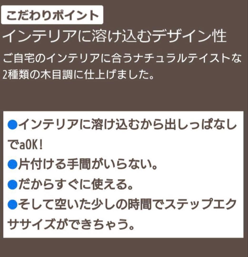 OASIS ツイストエアロステッパー Premium チェスナット