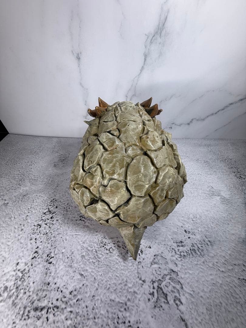 ディオスコレア亀甲竜　　亀甲龍