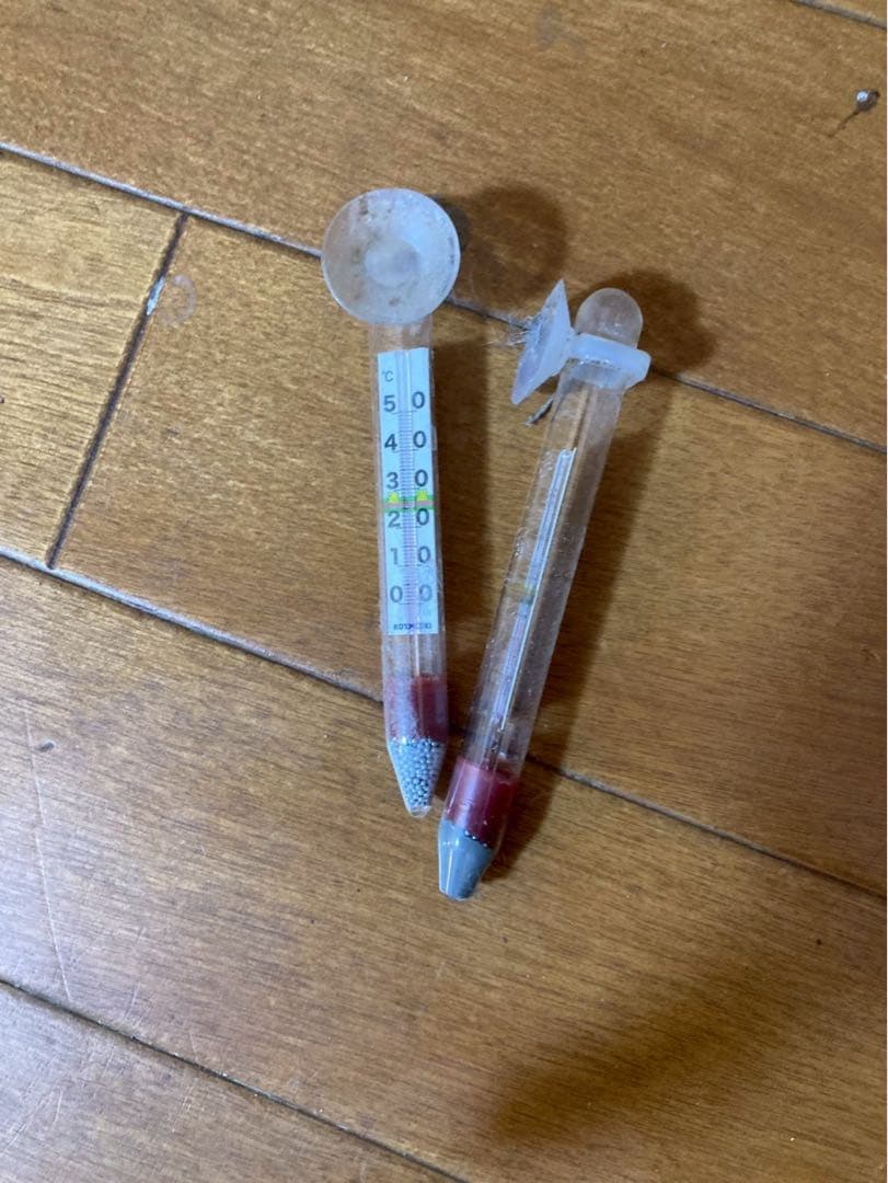 120センチ水槽（引き取り限定）