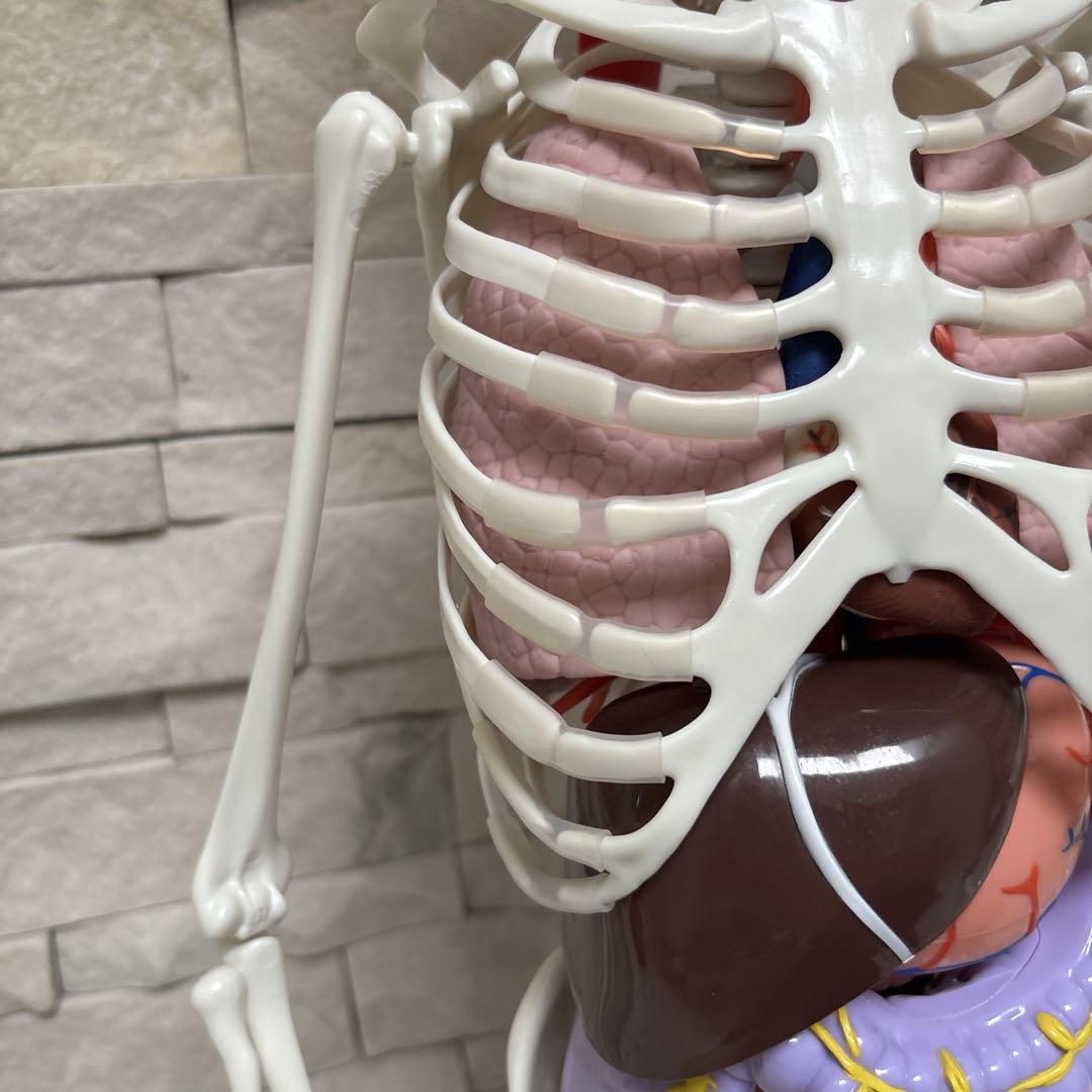 【美品】DEAGOSTINI おしゃべりガイコツ　ホネッキー