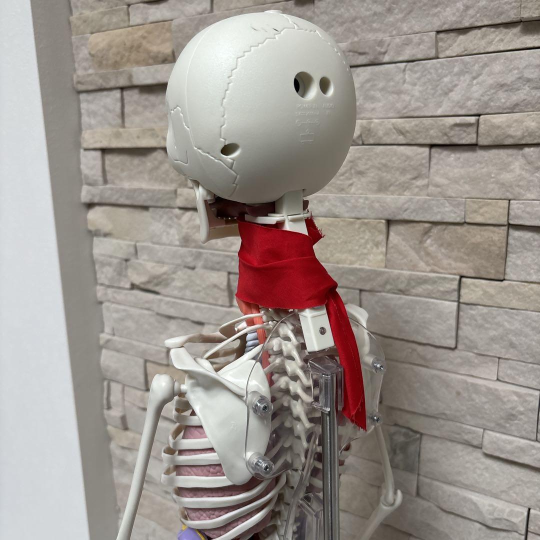 【美品】DEAGOSTINI おしゃべりガイコツ　ホネッキー