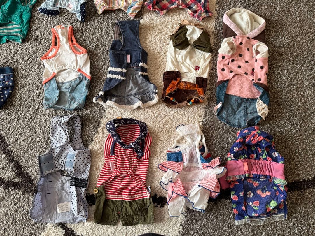 DSS 犬 服 まとめて 大量 福袋 ダックス 訳あり