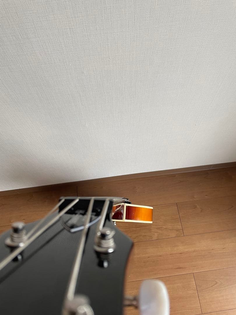 Hofner IGNITION BASS SBヘフナーバイオリンベース