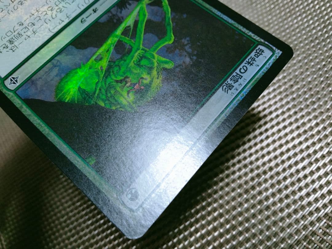 【ご確認用】エルドラージ覚醒 foil 蜘蛛の陰影 日本語 1枚　MTG