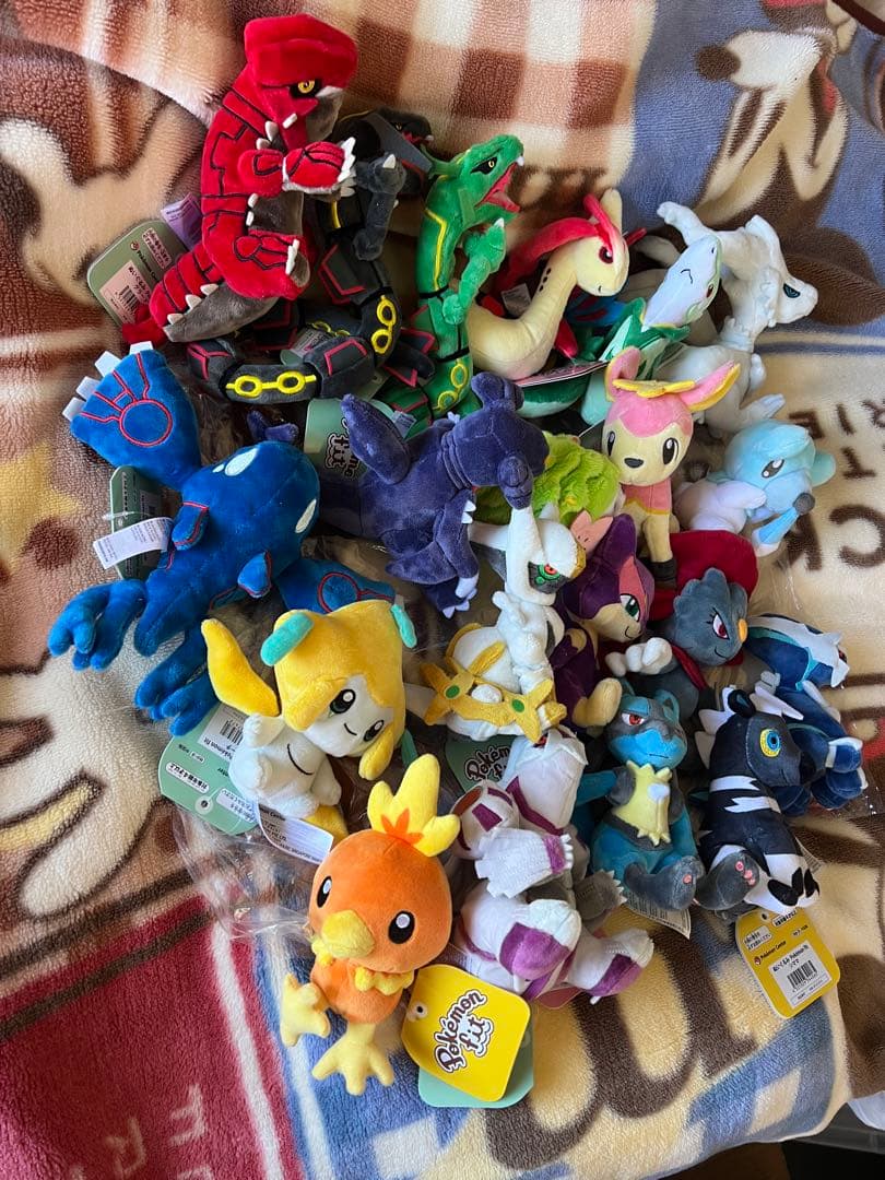Pokémon fit ポケモンぬいぐるみ　20体まとめ