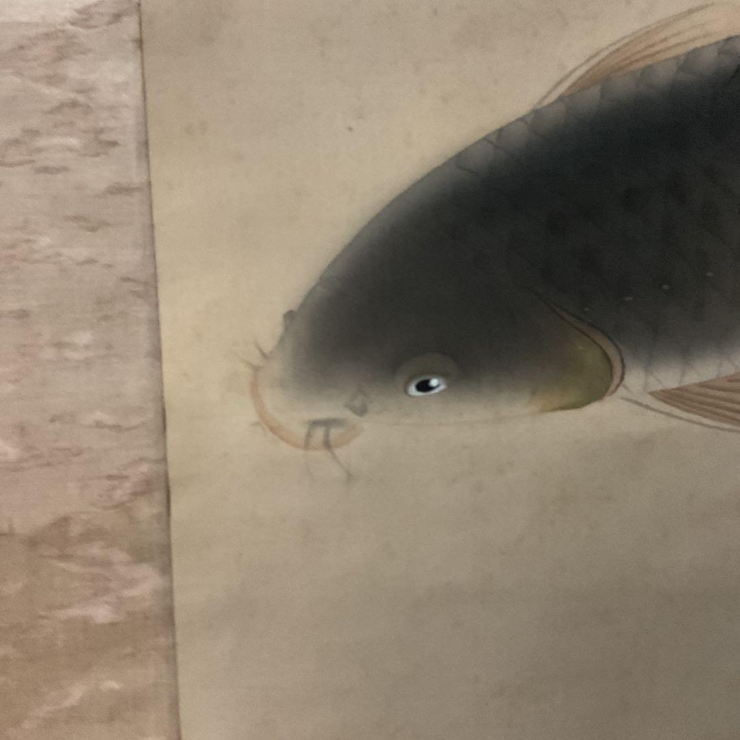 晃陽筆 彩色画 絹本掛け軸 【 遊鯉図 】 軸先陶器軸