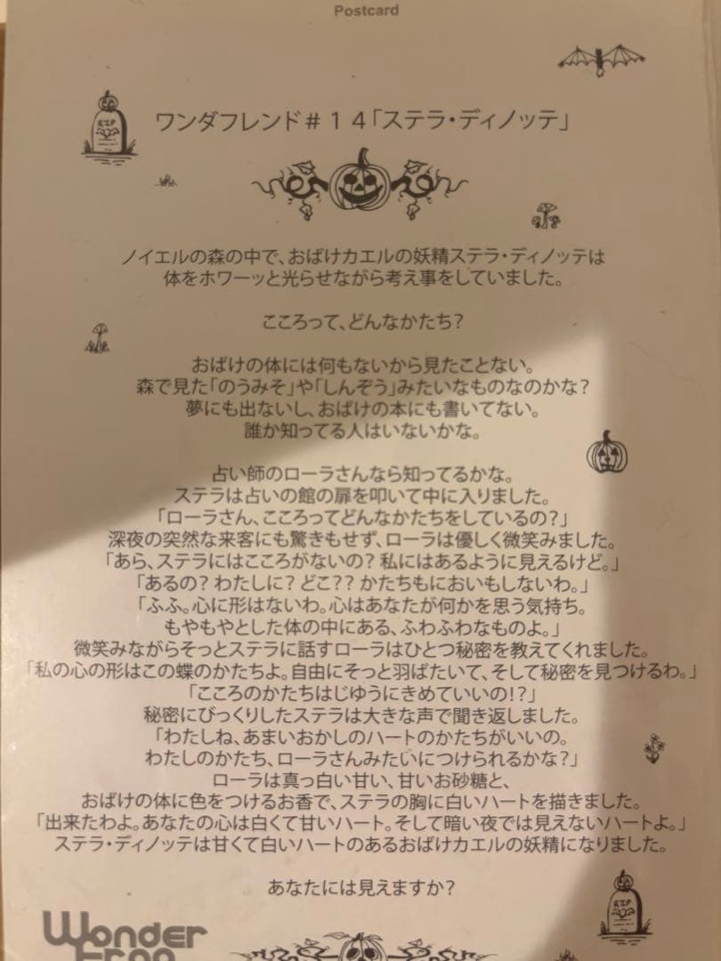 ワンダーフロッグ ワンダフレンド　3体セット