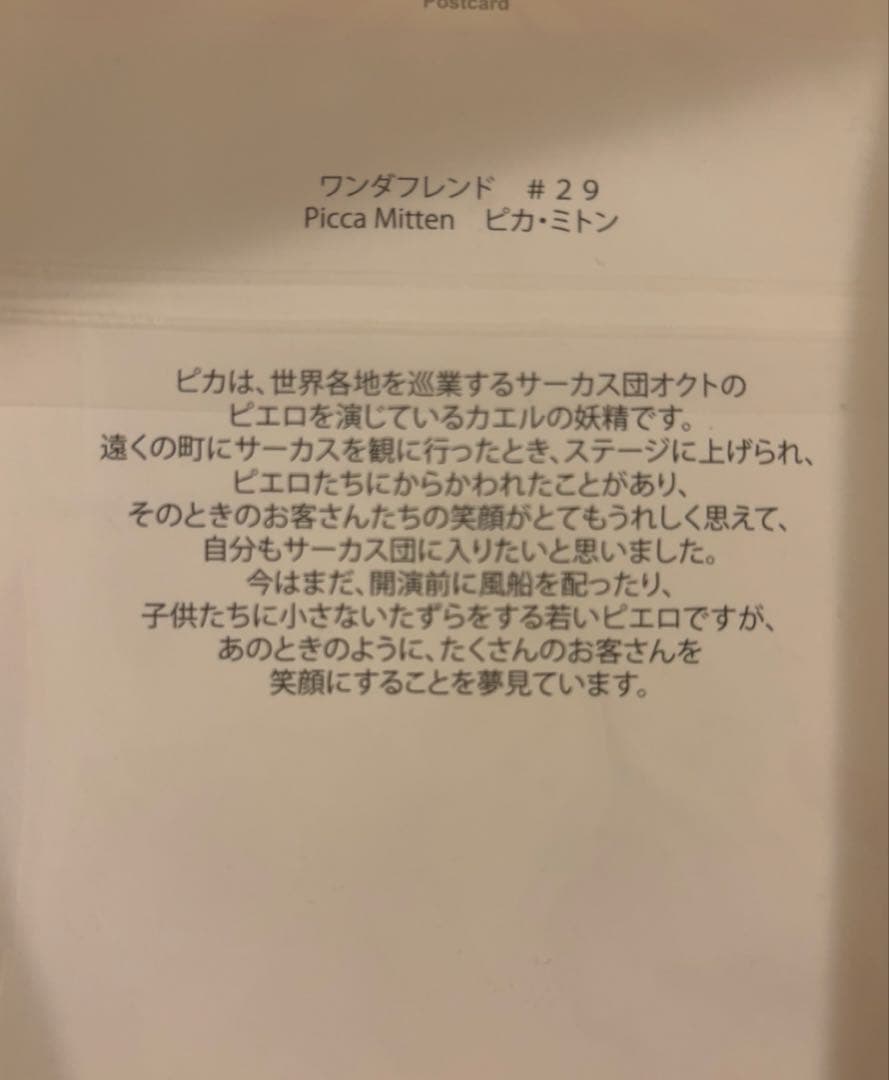ワンダーフロッグ ワンダフレンド　3体セット