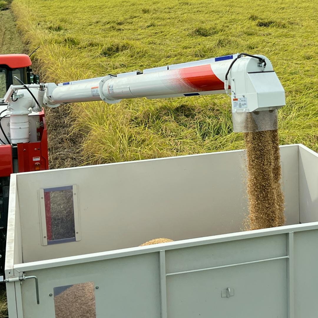 玄米20kg◆令和７年産コシヒカリ玄米20キロ◆栃木県産新米