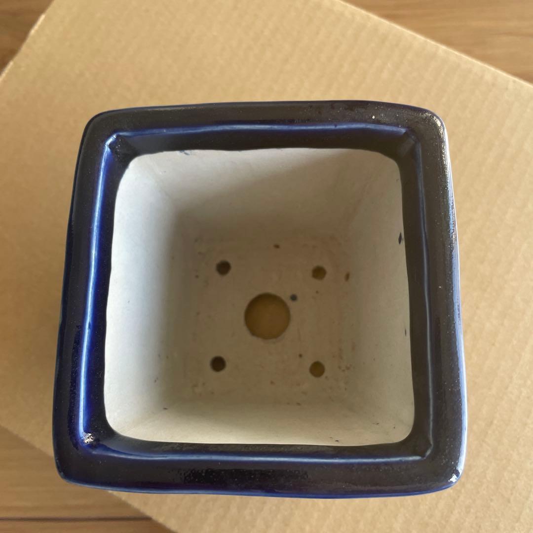 盆栽鉢　桑津香石　絵鉢　鶴　日の出　富士山　鳥　山野草　落款印