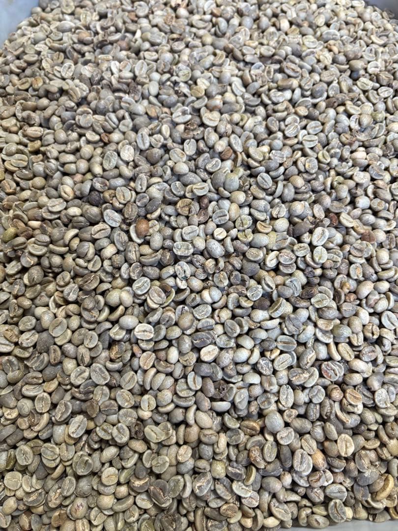 コーヒー生豆/おまかせ5種10kg