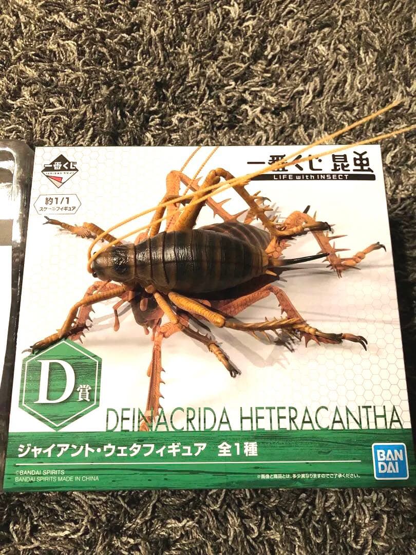 一番くじ 昆虫