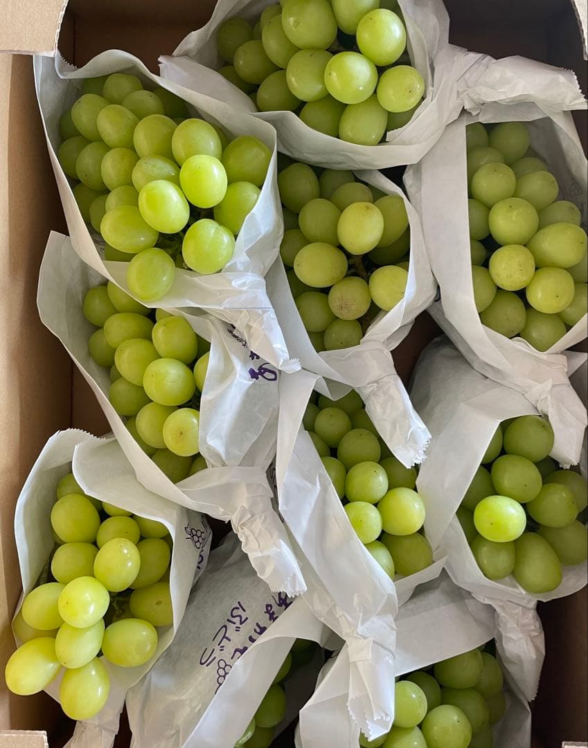 【数量限定】果物　シャインマスカット ぶどう　葡萄　5kg 房入り　訳あり