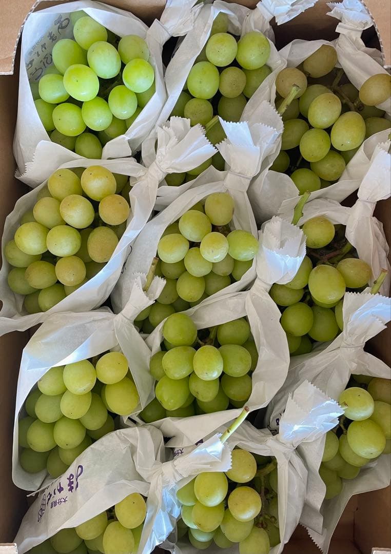 【数量限定】果物　シャインマスカット ぶどう　葡萄　5kg 房入り　訳あり