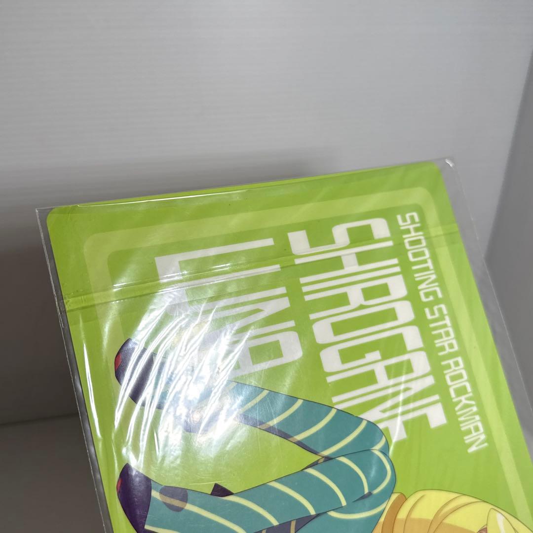 レア！未開封 流星のロックマン 下敷き ミソラ&ルナ